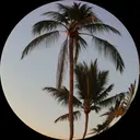 谷中 遥海のプロフィール画像