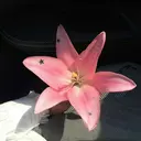 🍀B☆STAR いぶき🍀のプロフィール画像