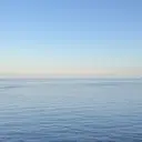 tiffin Amiriのプロフィール画像