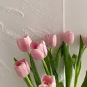 新垣 楓華のプロフィール画像