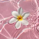 伊藤 美桜のプロフィール画像