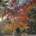 Fortuno/ミク 【静岡市】のプロフィール画像