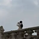 碇本 莉子のプロフィール画像
