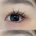 東京 秋のプロフィール画像