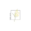 いまむら あかりのプロフィール画像