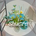 shucre 桑名のプロフィール画像