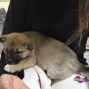 谷村 美波のプロフィール画像