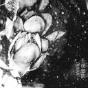 矢島 成美のプロフィール画像