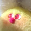 北村 玲奈のプロフィール画像