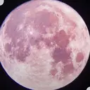 木村 妃那のプロフィール画像