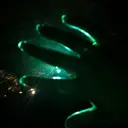 u'i KIMIEのプロフィール画像