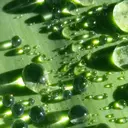 🧼MOMO/ 渋谷✩.*˚🧼のプロフィール画像