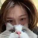 カク レイシンのプロフィール画像