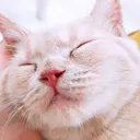 浅川 きみたかのプロフィール画像