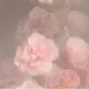 船山 一花のプロフィール画像