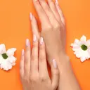 藤本 千明のプロフィール画像