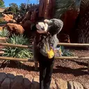 Roi天王寺/ Mayu💕のプロフィール画像