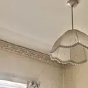 REINA amii.柏のプロフィール画像