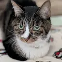 Mian本八幡 SAYAKAのプロフィール画像