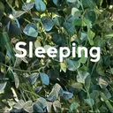 🌱 ま し お 🌱のプロフィール画像