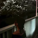 ꒰ঌOlivia 依田🪄︎︎໒꒱のプロフィール画像