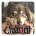 中島 まり子のプロフィール画像