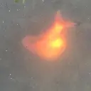 神山 ビューティー・アイのプロフィール画像