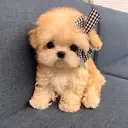 矢口 伶那のプロフィール画像