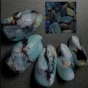 KASHINOKI .のプロフィール画像