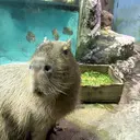 松本 望愛のプロフィール画像