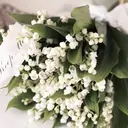 藤高 えみのプロフィール画像