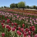 新宮 宝のプロフィール画像