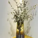 尾田 有希のプロフィール画像