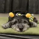 メンズ眉毛サロン 眉毛jackのプロフィール画像