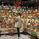 Dahlia beauty新岩聖可のプロフィール画像