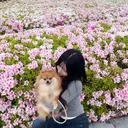 B☆star せいら💙のプロフィール画像