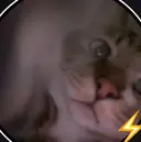 B☆STAR セイナのプロフィール画像