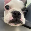 ヘアセット CAnameのプロフィール画像