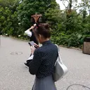 nanase / レイヤーカットのプロフィール画像