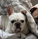 salon GIGINailのプロフィール画像