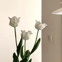 nana 韓国まつパ/梅田のプロフィール画像