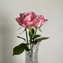 megumi /ヘアセット/メイクのプロフィール画像