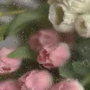 Ishikawa 🩰🎀のプロフィール画像