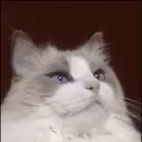 KOU コウのプロフィール画像