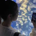 中目黒 眉毛&マツパ HARUNA🌷のプロフィール画像