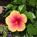 尾崎 加奈子のプロフィール画像