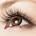 stella Booのプロフィール画像