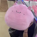 淺野 真也のプロフィール画像