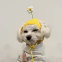 【🍒似合わせ🍒】 長谷川のプロフィール画像