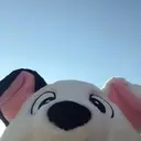 たけだ れなのプロフィール画像